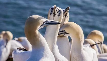 17173热门游戏榜：《原神》新版本上线 《鸣潮》3.0下半开启