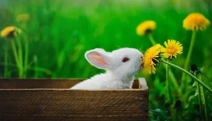 17173热门游戏榜：《原神》新版本上线 《鸣潮》3.0下半开启